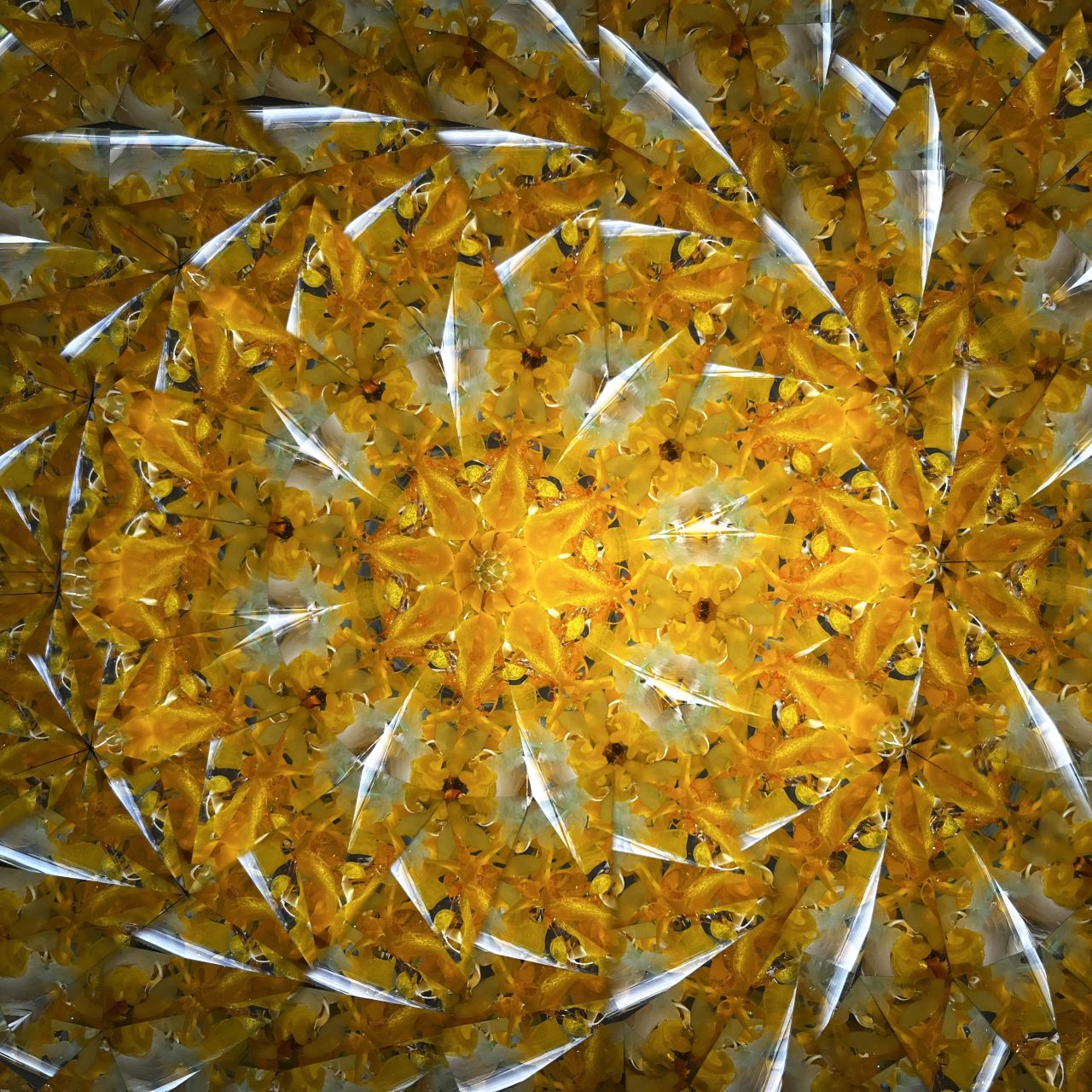 Ayana Endo  "Innocent Flowers  -Tender Little Dancers-"            -glass kaleidoscope-