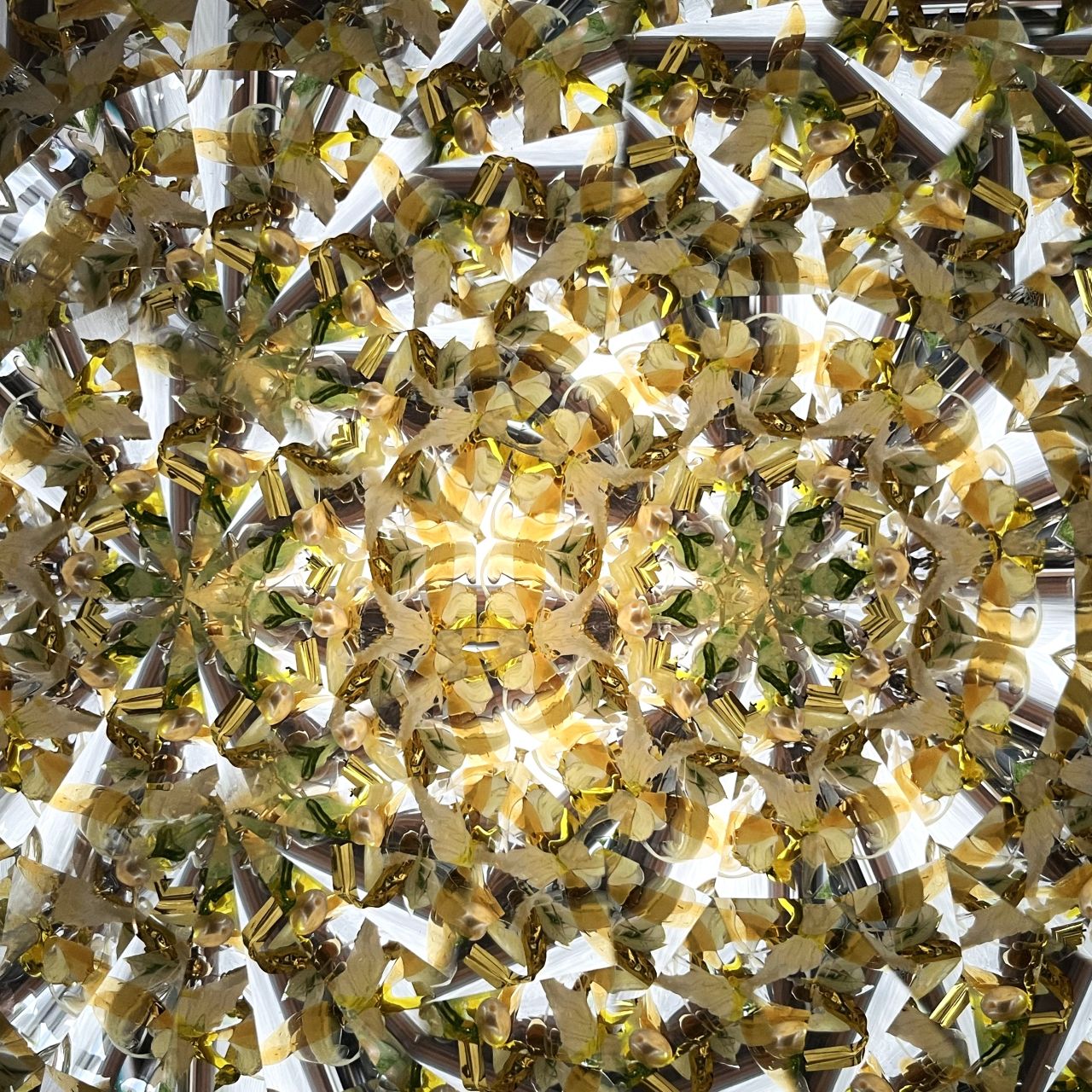 Ayana Endo  "Innocent Flowers  -Tender Little Dancers-"            -glass kaleidoscope-