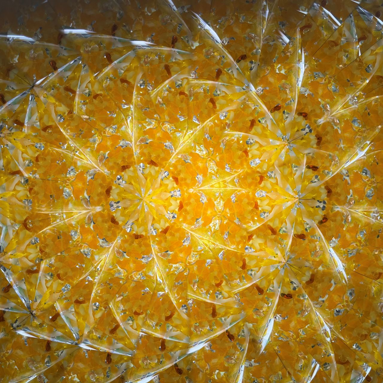 Ayana Endo  "Innocent Flowers  -Tender Little Dancers-"            -glass kaleidoscope-