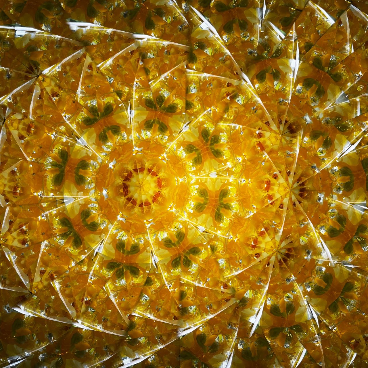 Ayana Endo  "Innocent Flowers  -Tender Little Dancers-"            -glass kaleidoscope-