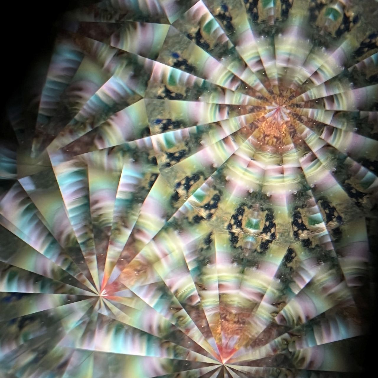 Hanako Richards   "The Moon and Fin"         glass kaleidoscope