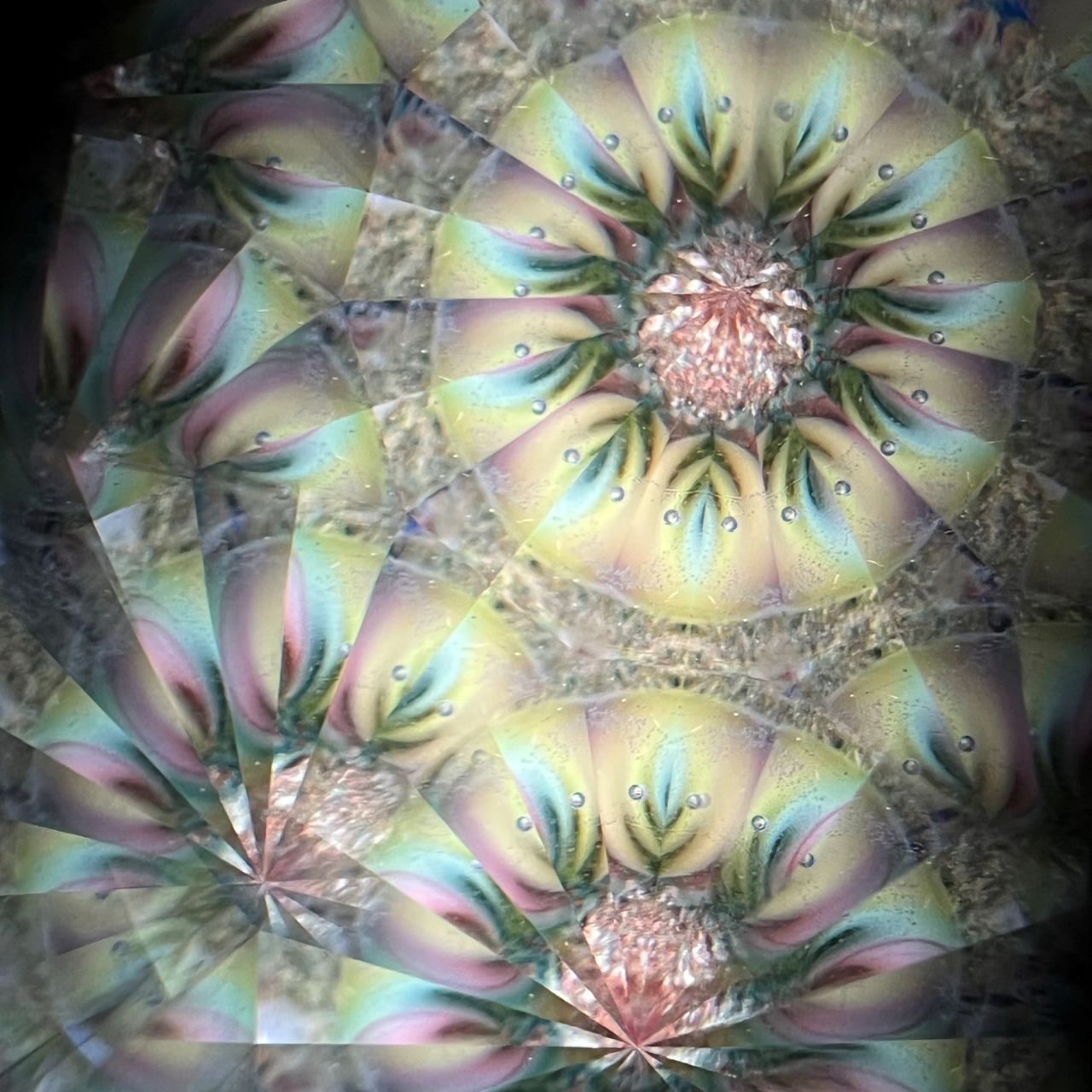 Hanako Richards   "The Moon and Fin"         glass kaleidoscope