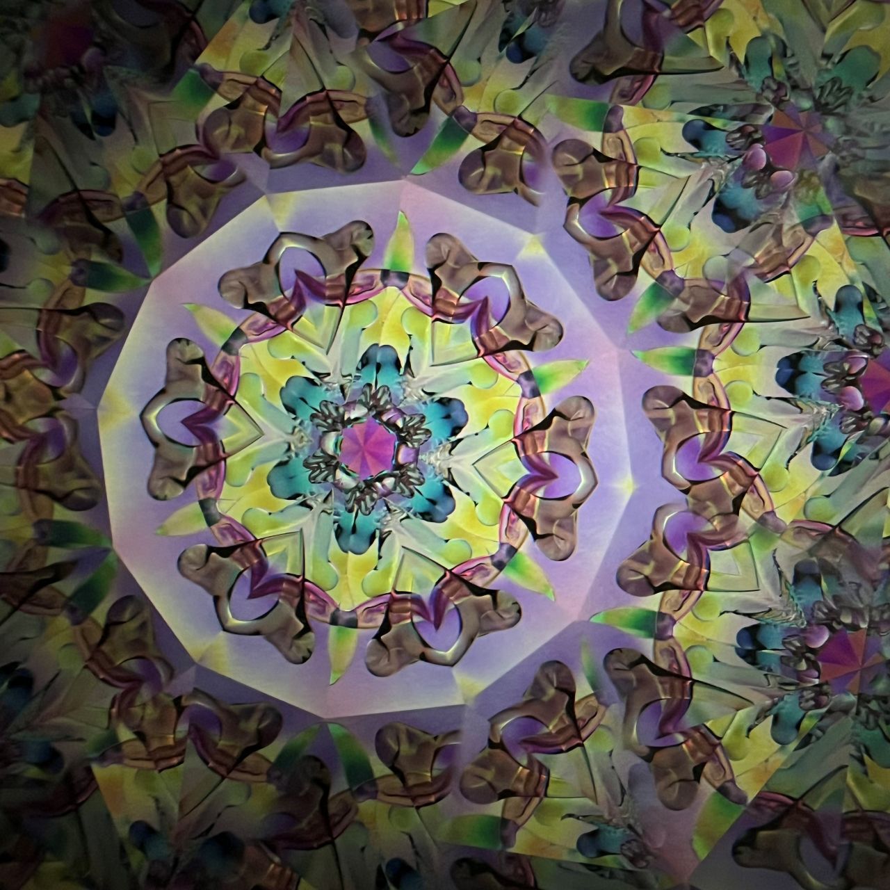 Tomoo Hosono and Motohiro Sato     Polarized kaleidoscope  #133