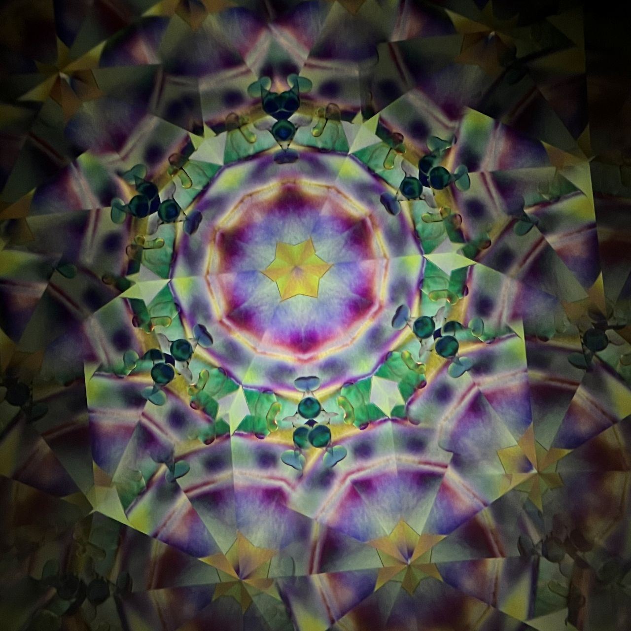 Tomoo Hosono and Motohiro Sato     Polarized kaleidoscope  #133