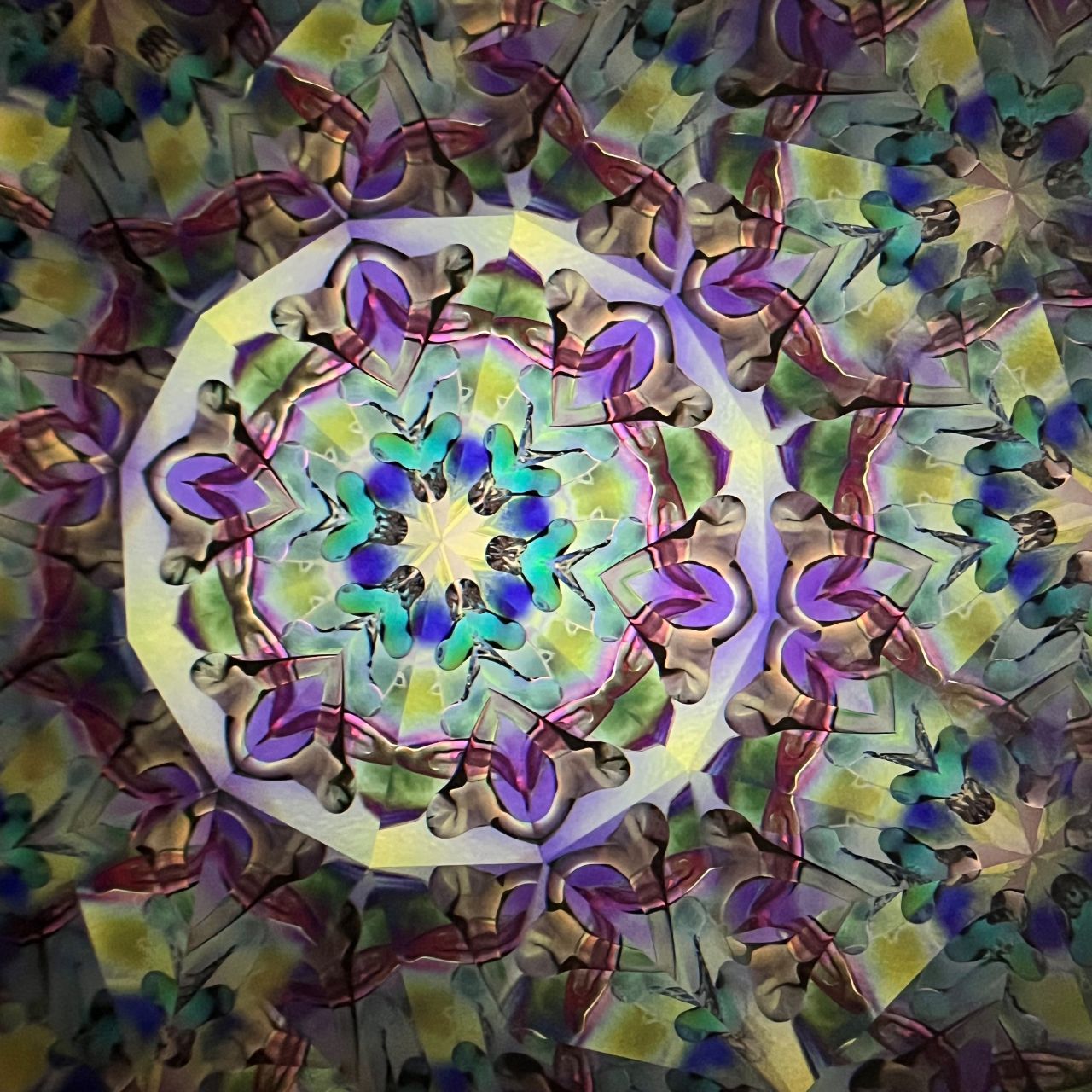 Tomoo Hosono and Motohiro Sato     Polarized kaleidoscope  #133