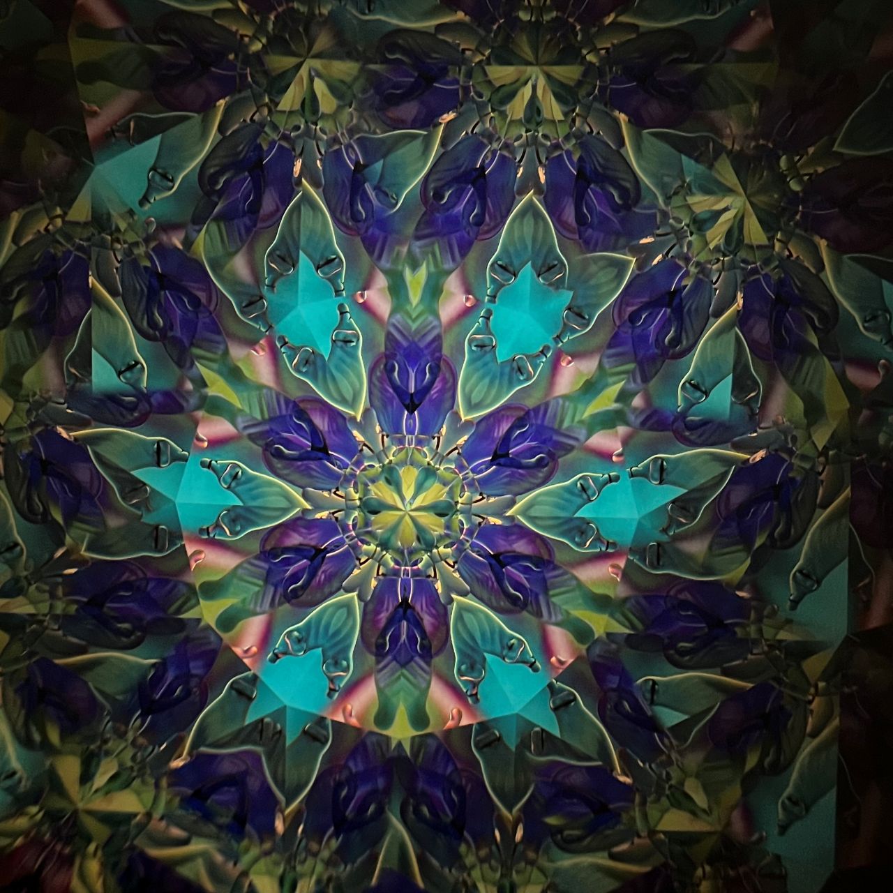 Tomoo Hosono and Motohiro Sato     Polarized kaleidoscope  #133