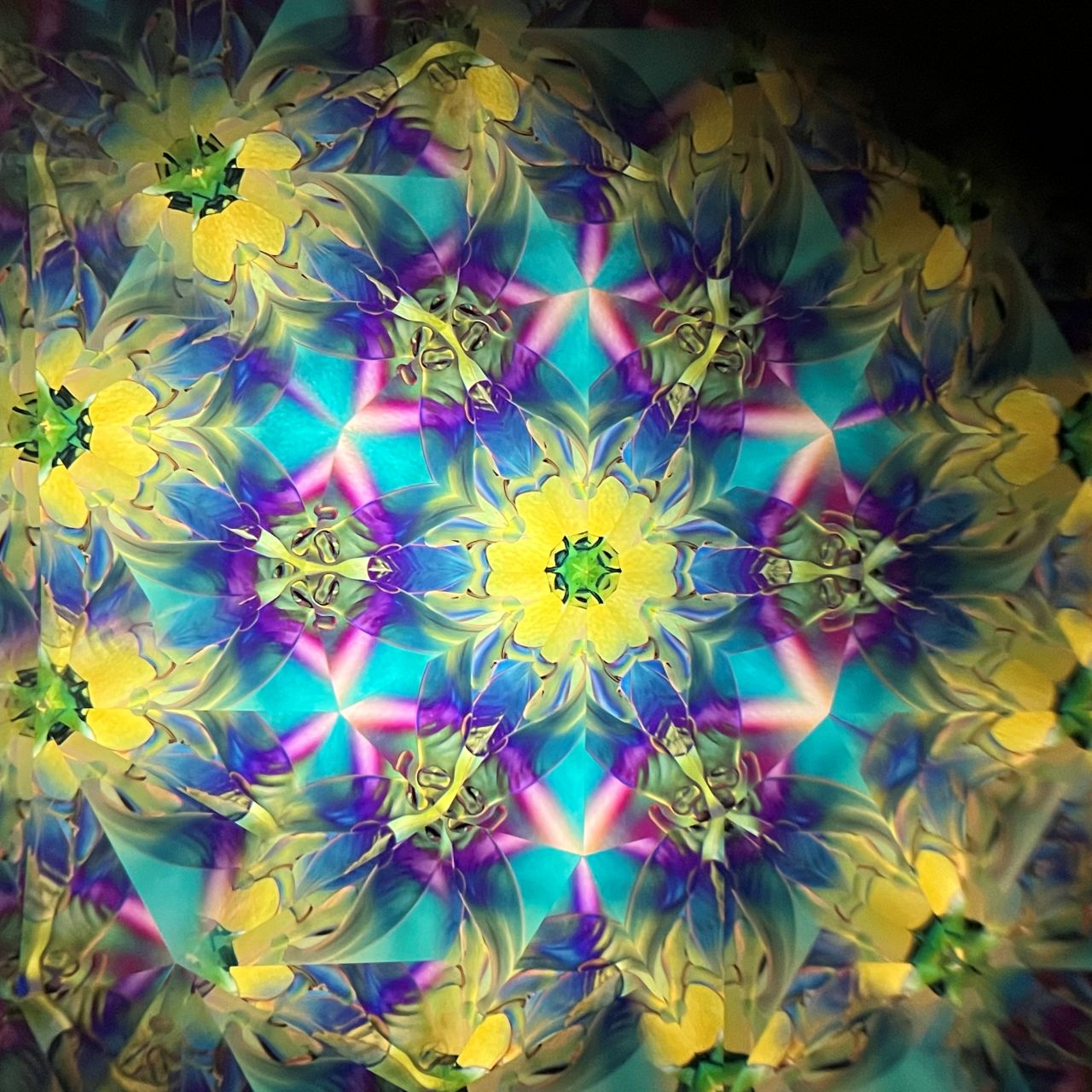 Tomoo Hosono and Motohiro Sato     Polarized kaleidoscope  #133