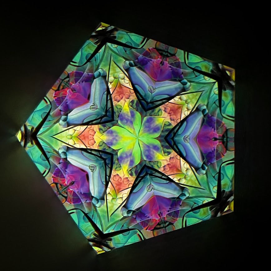 Tomoo Hosono and Motohiro Sato     Polarized kaleidoscope  #157