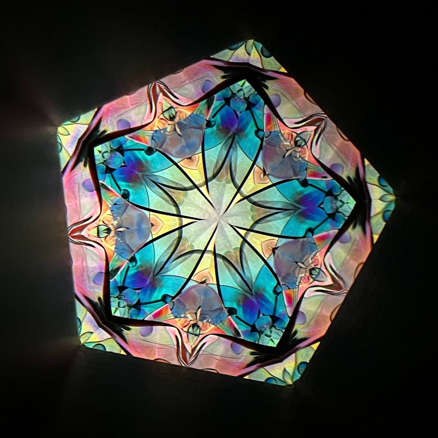 Tomoo Hosono and Motohiro Sato     Polarized kaleidoscope  #157
