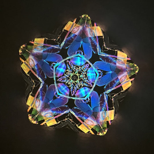 Tomoo Hosono     Polarized kaleidoscope "GEN" #050