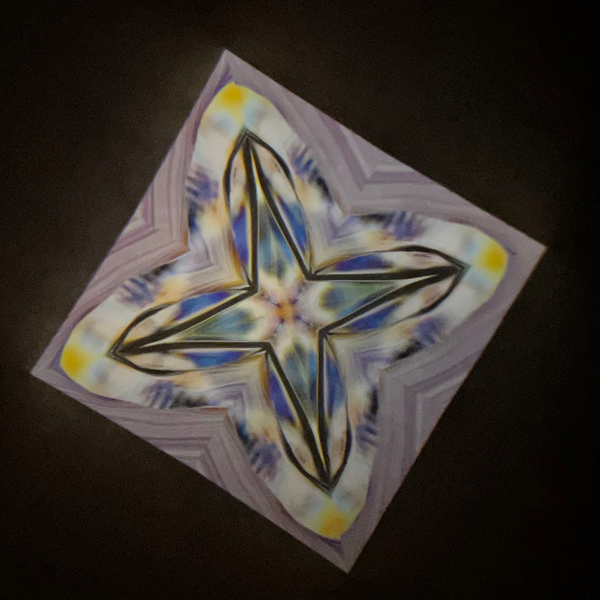 Tomoo Hosono     Polarized kaleidoscope "USUGINU" #011 (2026)