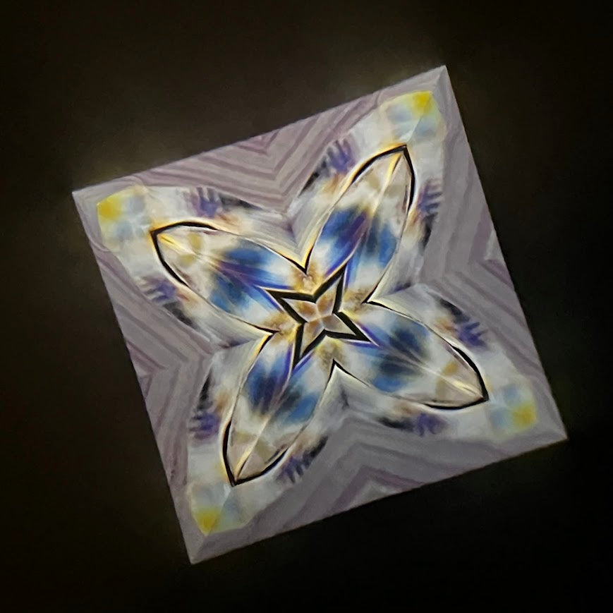 Tomoo Hosono     Polarized kaleidoscope "USUGINU" #011 (2026)