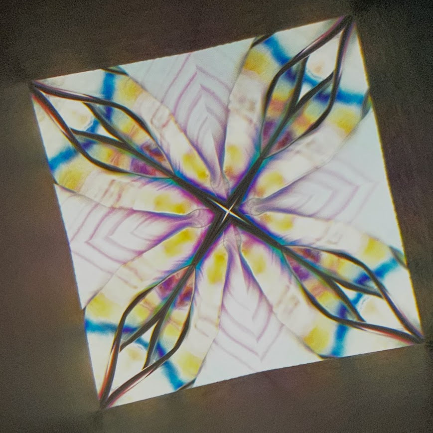 Tomoo Hosono     Polarized kaleidoscope "USUGINU" #011 (2026)