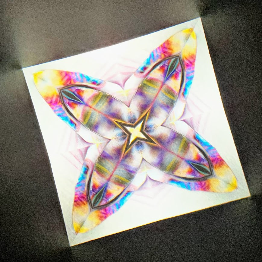 Tomoo Hosono     Polarized kaleidoscope "USUGINU" #011 (2026)