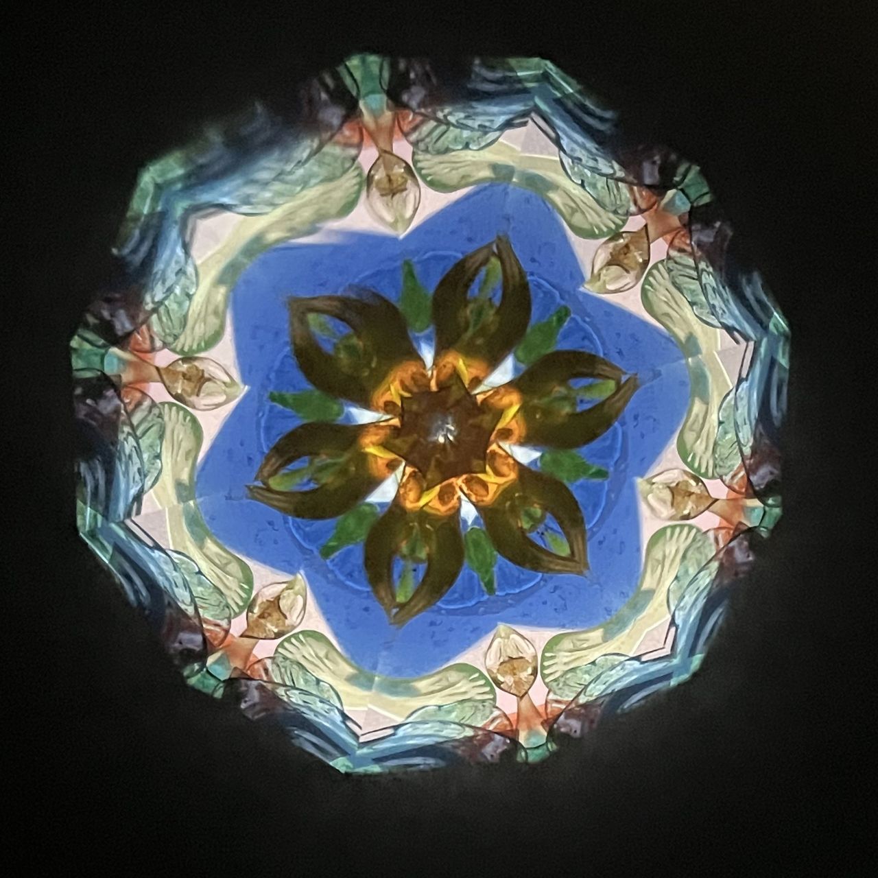Fumie Ino　”Water Irises”    　　　　　             - lacquered kaleidoscope -