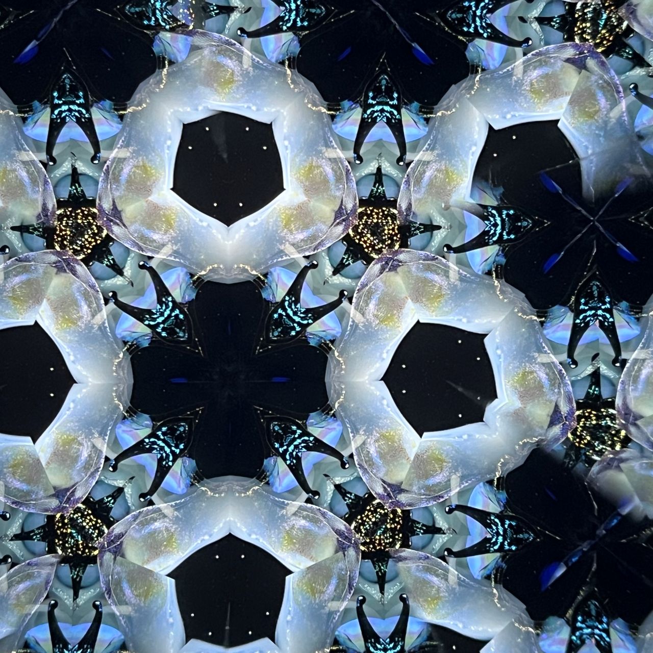 Jun Kojima and Rika Kita   "Alchemist"  medium                  - Flora -