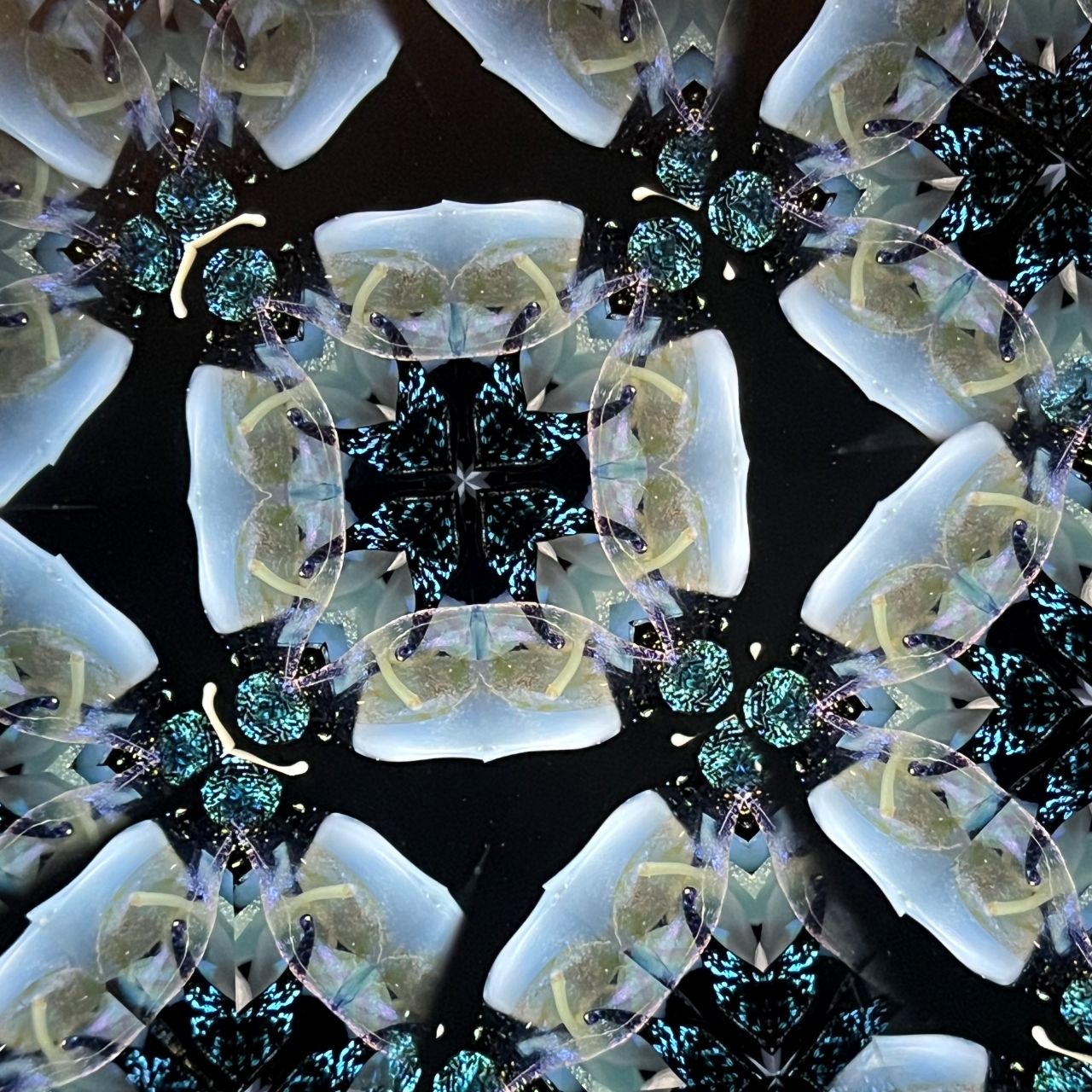 Jun Kojima and Rika Kita   "Alchemist"  medium                  - Flora -