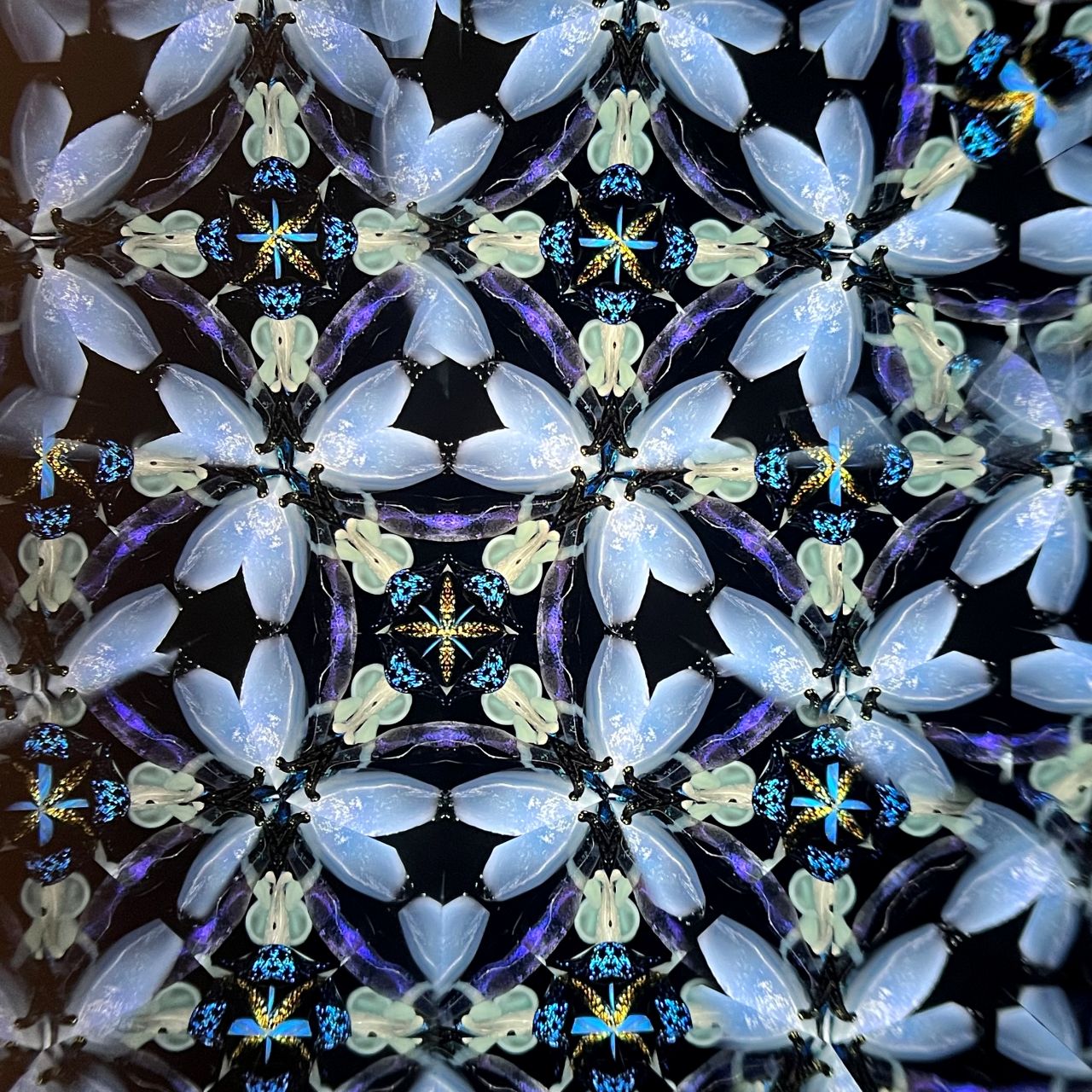 Jun Kojima and Rika Kita   "Alchemist"  medium                  - Flora -