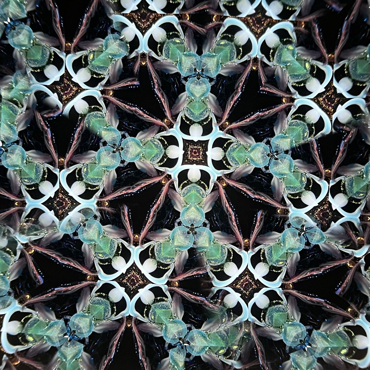 Jun Kojima and Rika Kita   "Alchemist"  medium                  - Flora -