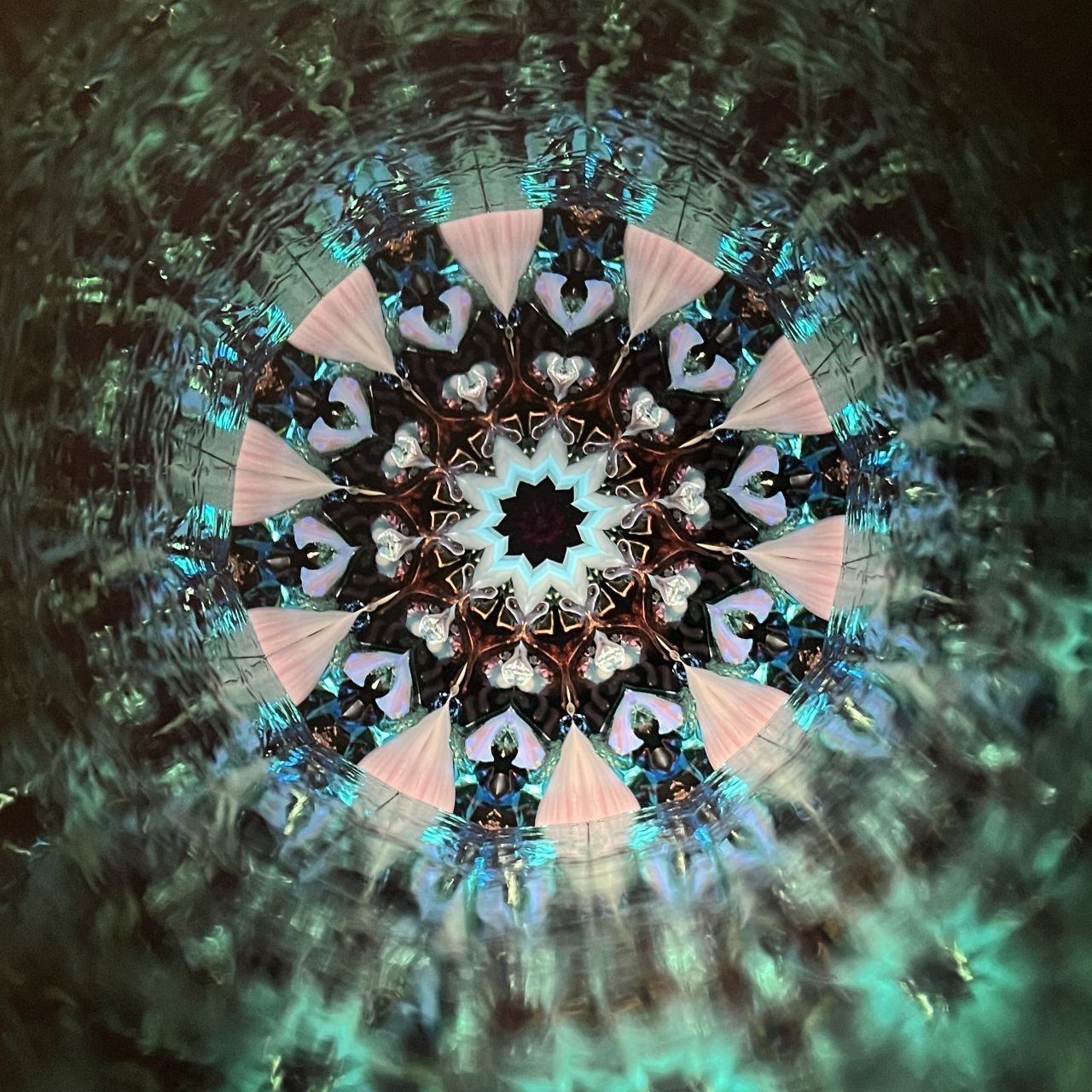 Jun Kojima and Rika Kita    "Polaris"