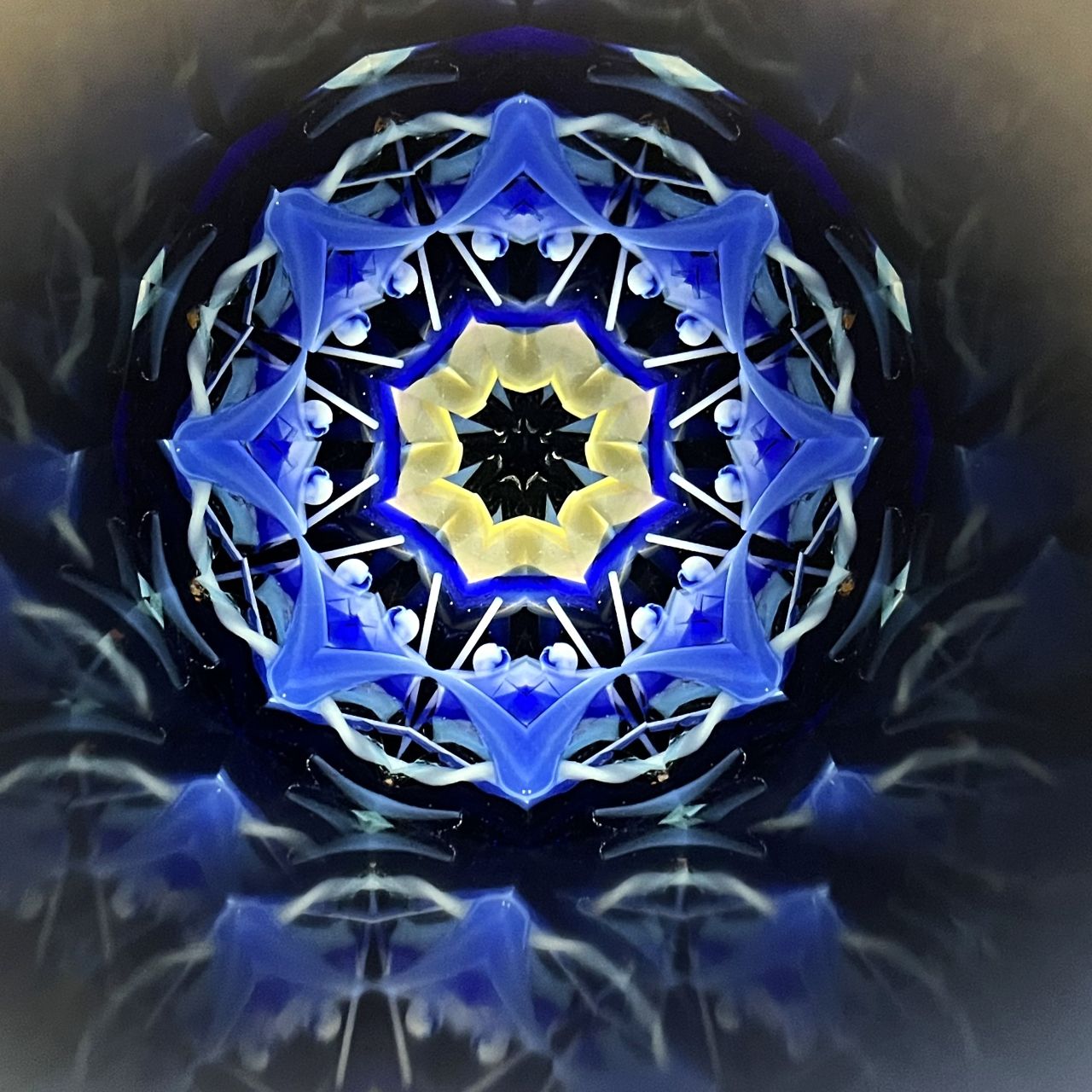 Yoshiko and Takeo Matsumoto    "HANA NATURE - indigo blue drops- "     - glass kaleidoscope -