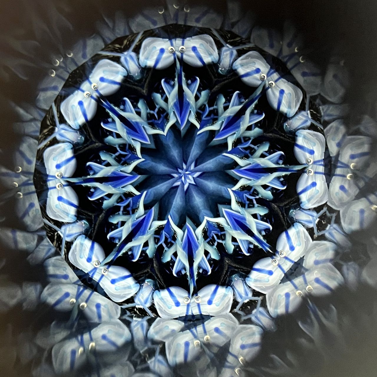 Yoshiko and Takeo Matsumoto    "HANA NATURE - indigo blue drops- "     - glass kaleidoscope -