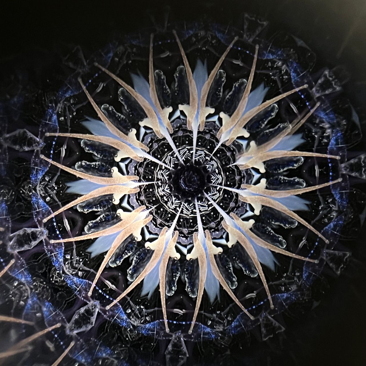 Yoshiko and Takeo Matsumoto    "HANA GRANDE - ice purple- "     - glass kaleidoscope -