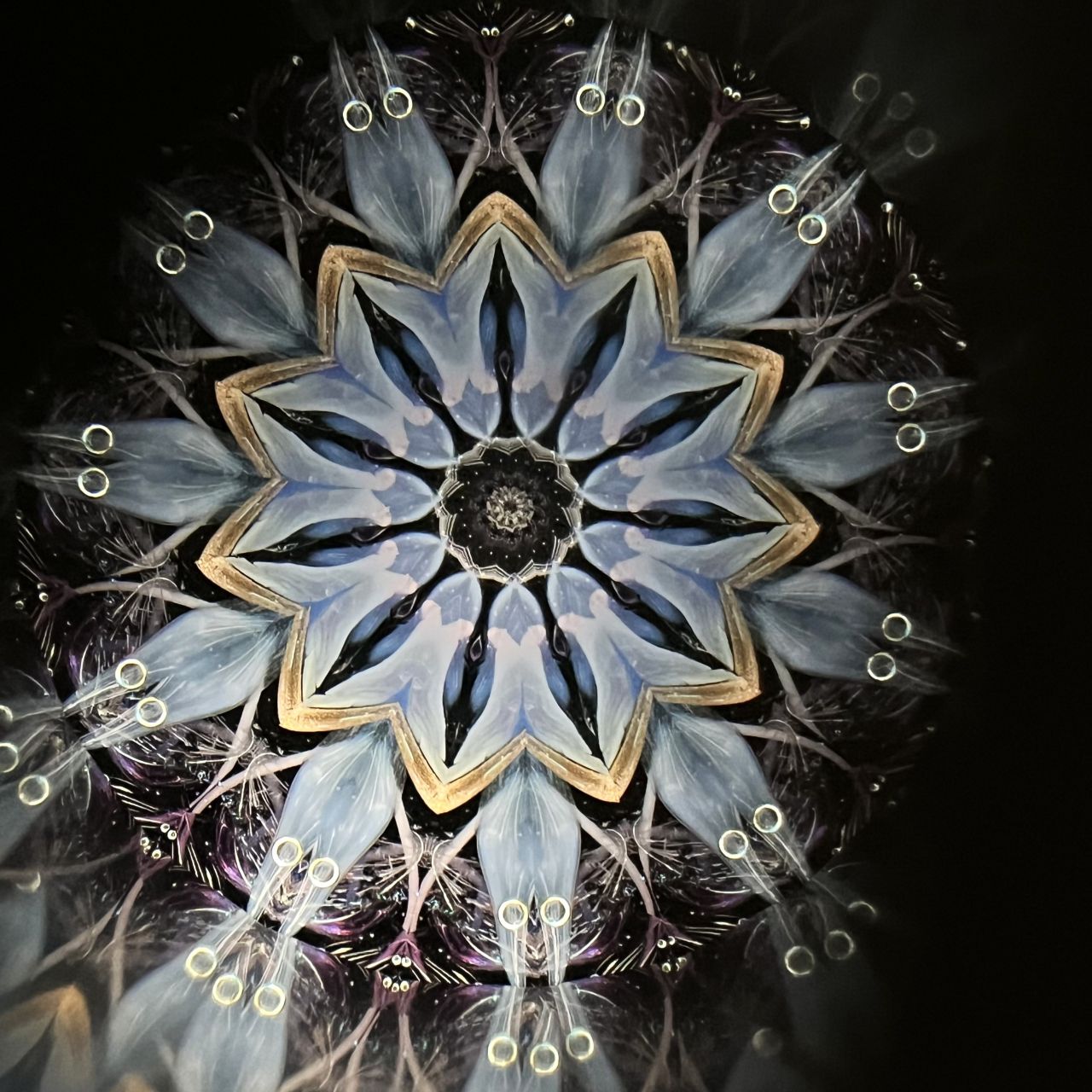 Yoshiko and Takeo Matsumoto    "HANA GRANDE - ice purple- "     - glass kaleidoscope -