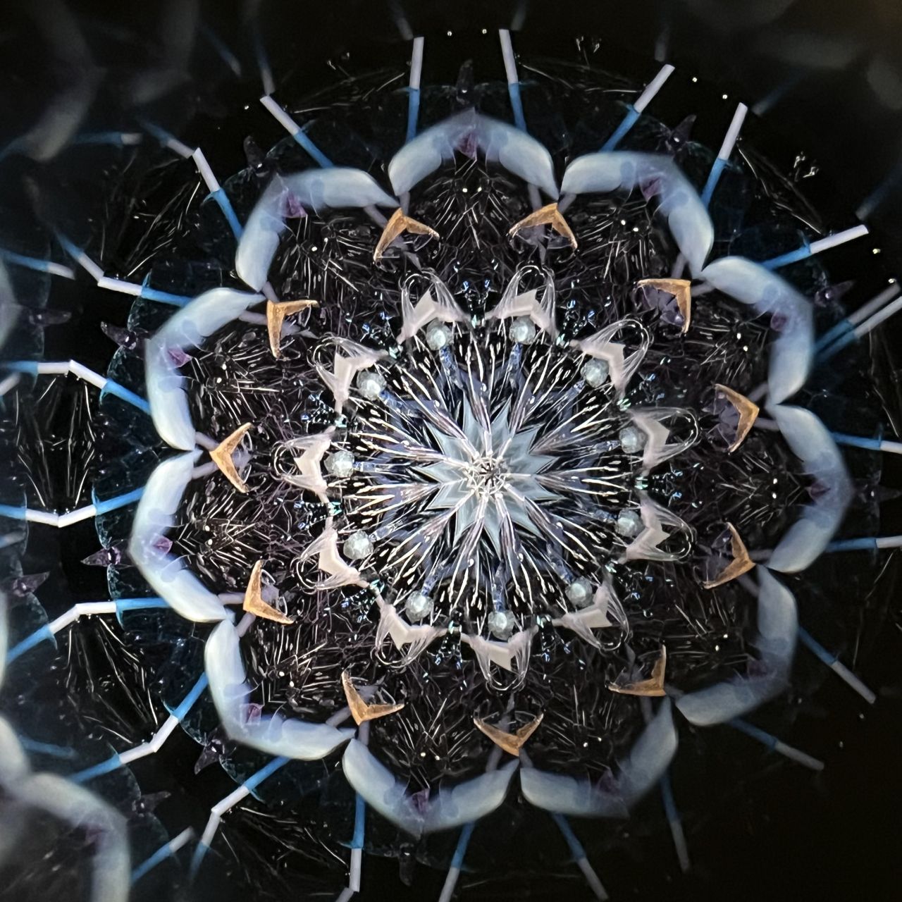 Yoshiko and Takeo Matsumoto    "HANA GRANDE - ice purple- "     - glass kaleidoscope -