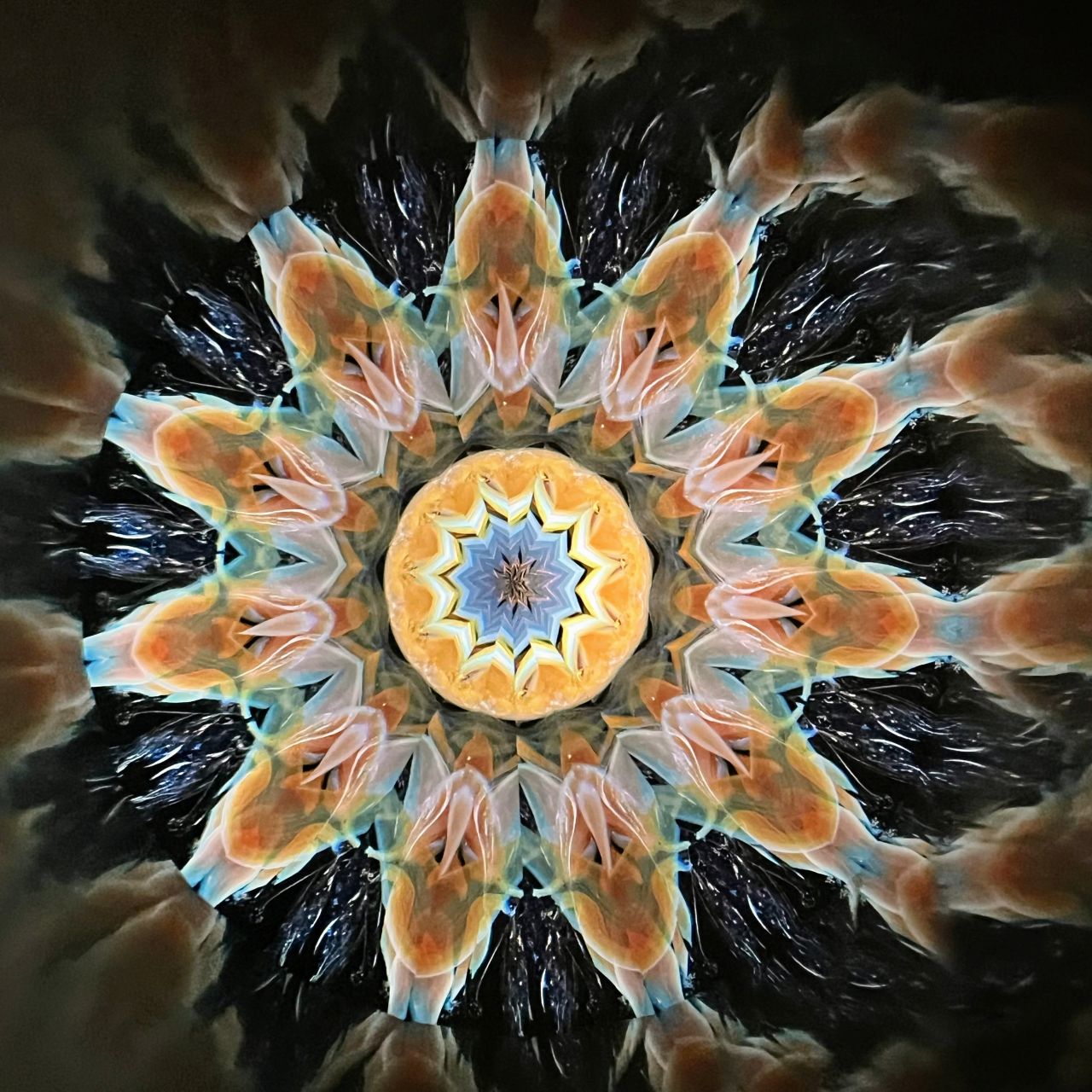 Yoshiko and Takeo Matsumoto    "HANA GRANDE -amber- "     - glass kaleidoscope -