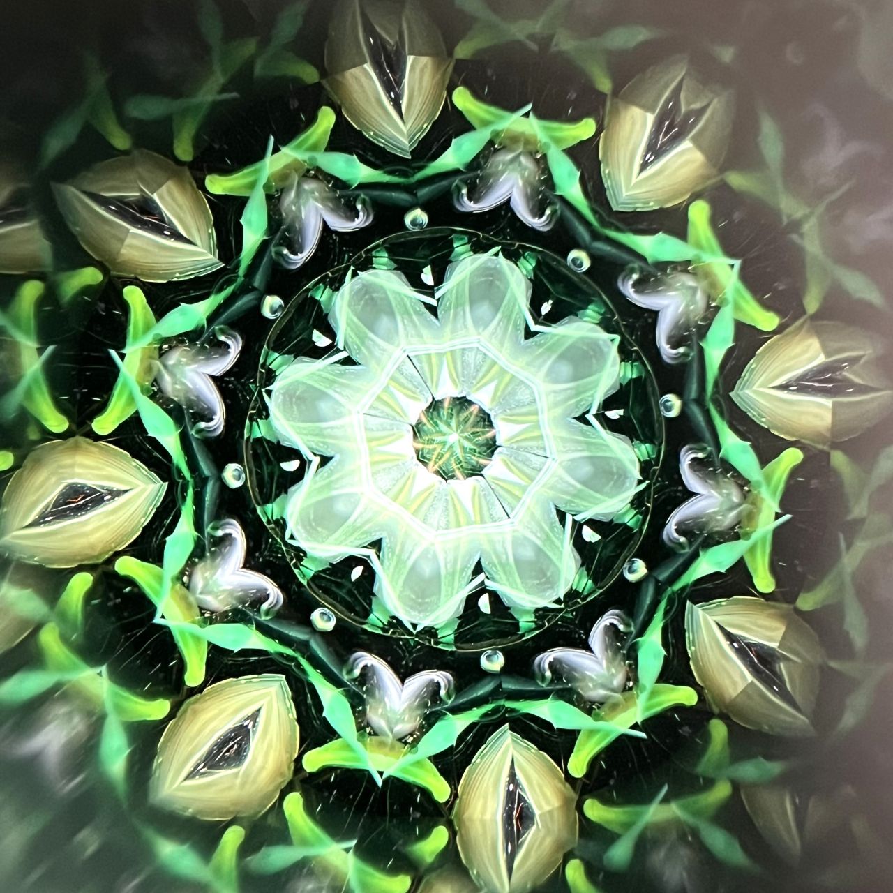 Yoshiko and Takeo Matsumoto    "HANA NATURE - water lily- "     - glass kaleidoscope -