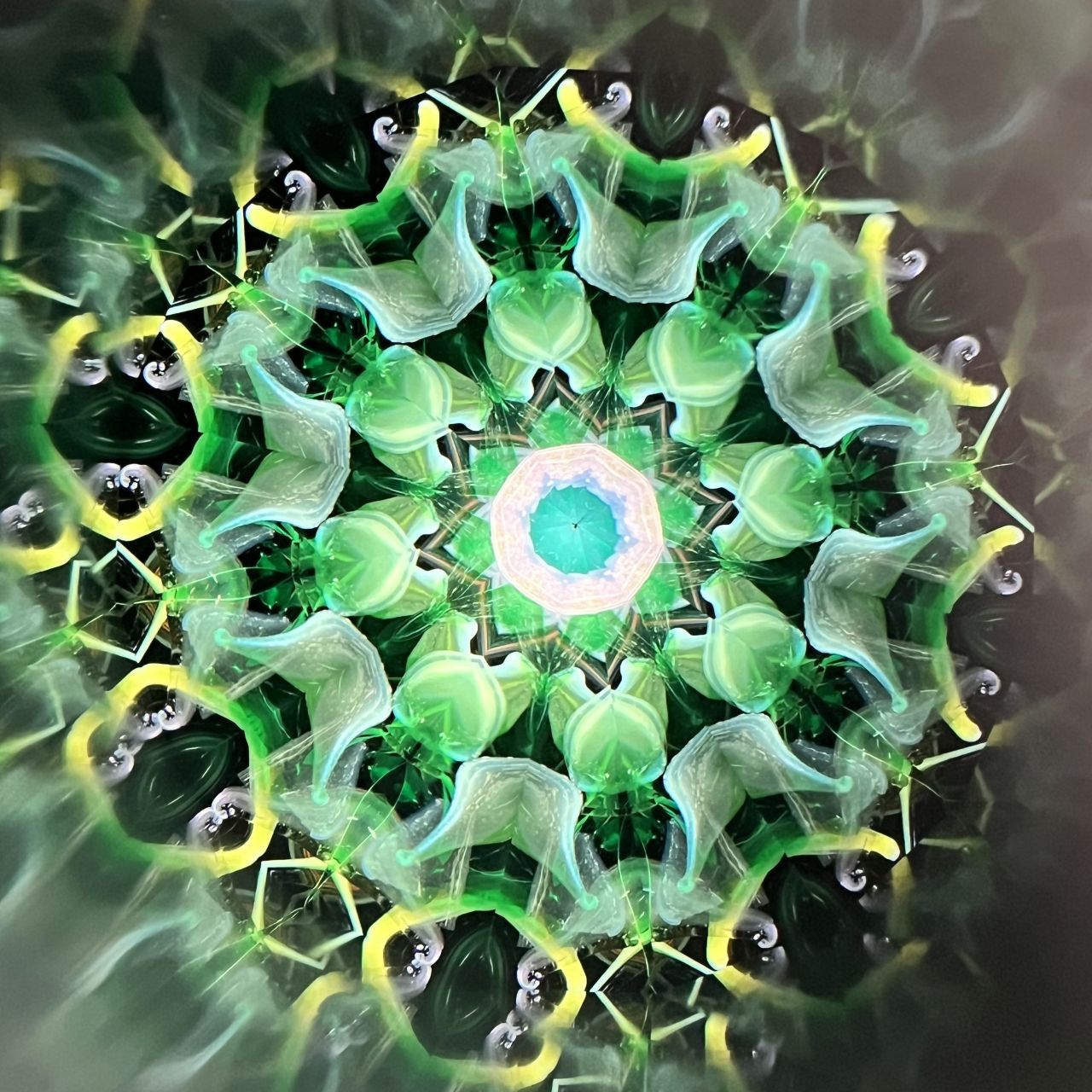 Yoshiko and Takeo Matsumoto    "HANA NATURE - water lily- "     - glass kaleidoscope -