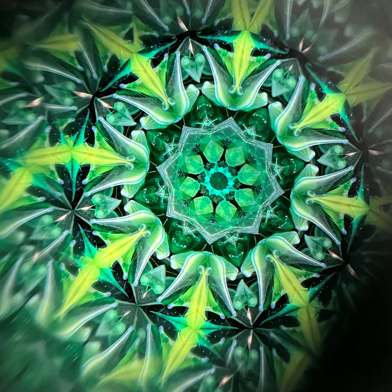 Yoshiko and Takeo Matsumoto    "HANA NATURE - water lily- "     - glass kaleidoscope -