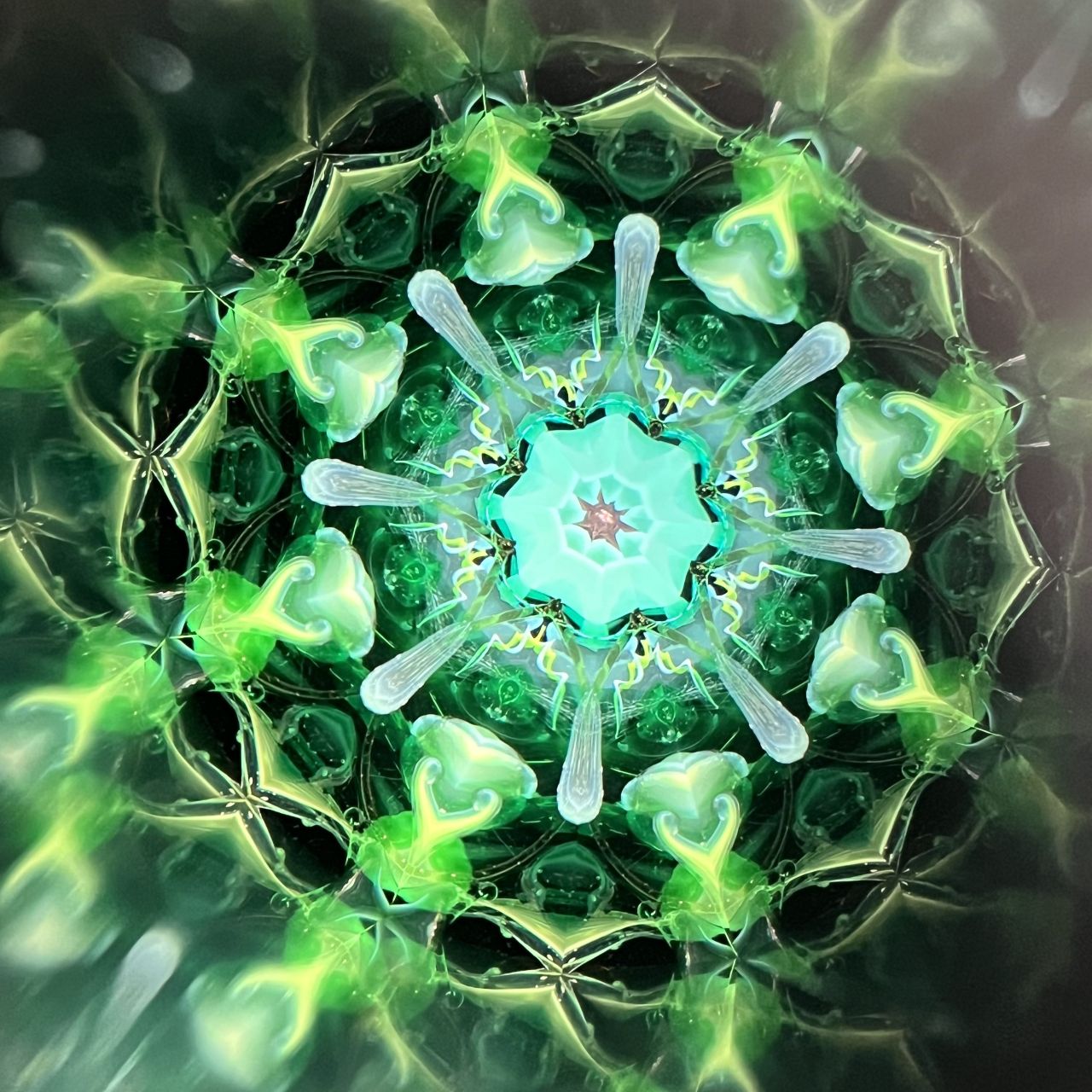 Yoshiko and Takeo Matsumoto    "HANA NATURE - water lily- "     - glass kaleidoscope -