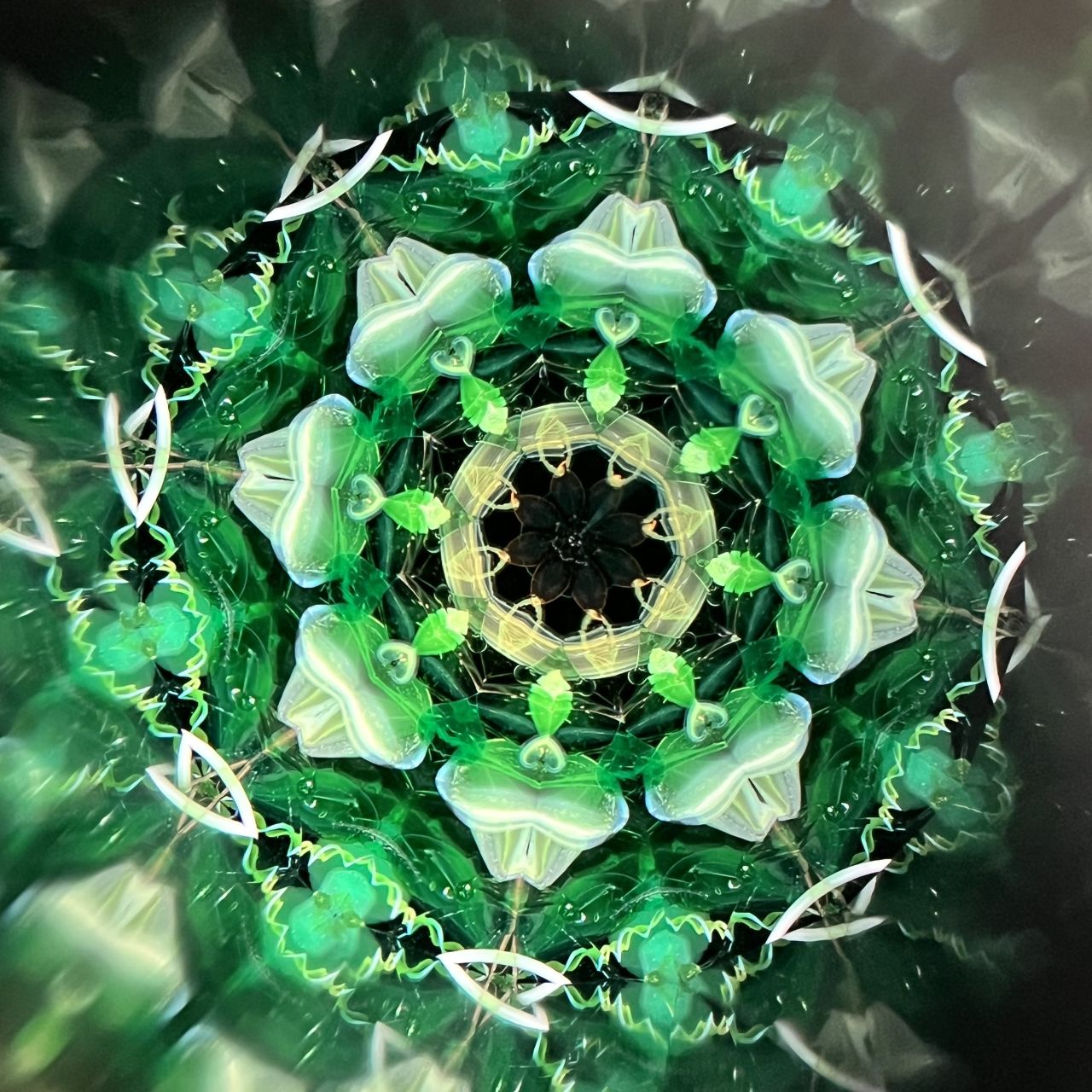 Yoshiko and Takeo Matsumoto    "HANA NATURE - water lily- "     - glass kaleidoscope -