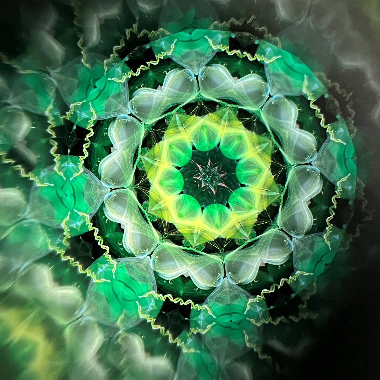 Yoshiko and Takeo Matsumoto    "HANA NATURE - water lily- "     - glass kaleidoscope -