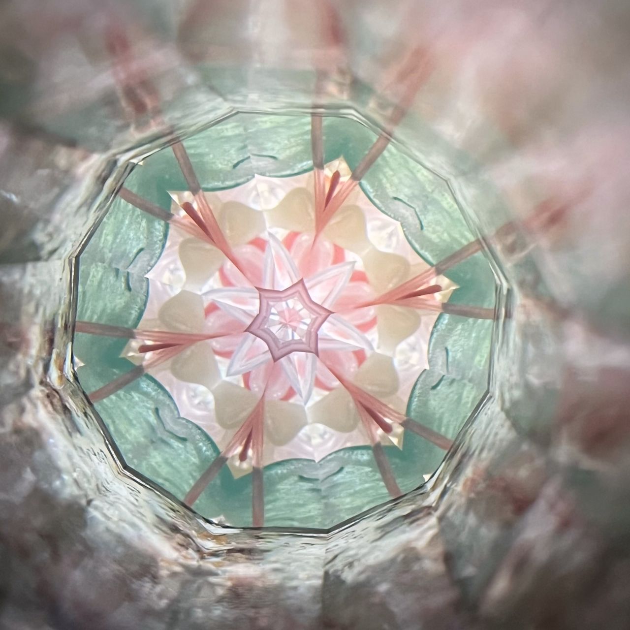 Rieko     "Bouquet B "              -glass kaleidoscope-